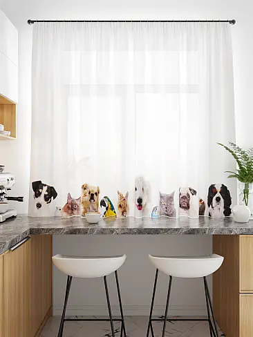 Шторы из тюля вуали короткие в Ижевске - Страница 17 71533359 - 2