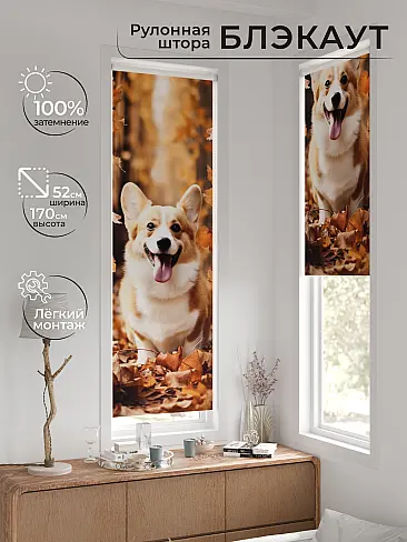 Оранжевые шторы в Самаре - Страница 167 17775315 - 2