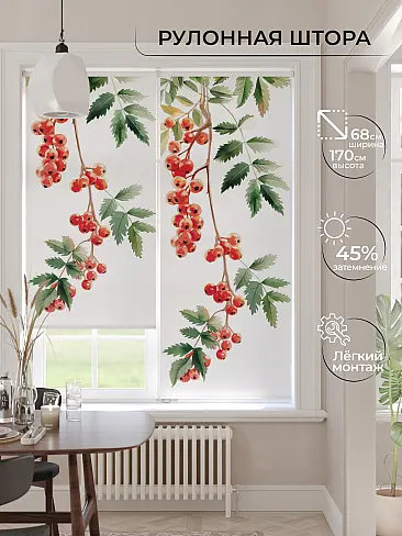 Римские шторы рулонные в Новосибирске 17778863 - 2