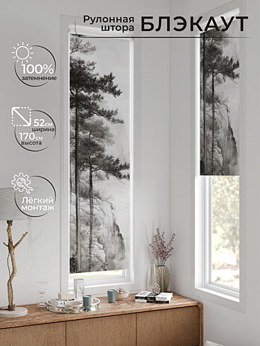 Рулонные шторы из тюля в Ижевске - Страница 601 17783639052