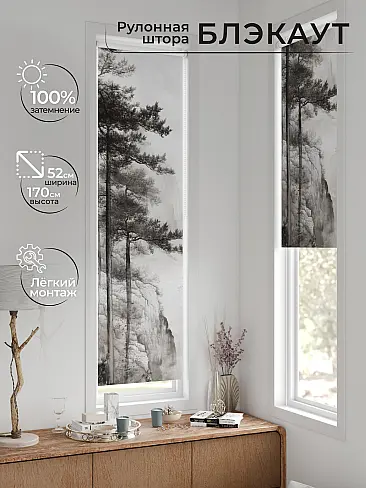 Рулонные шторы из тюля в Ижевске - Страница 601 17783639052 - 2