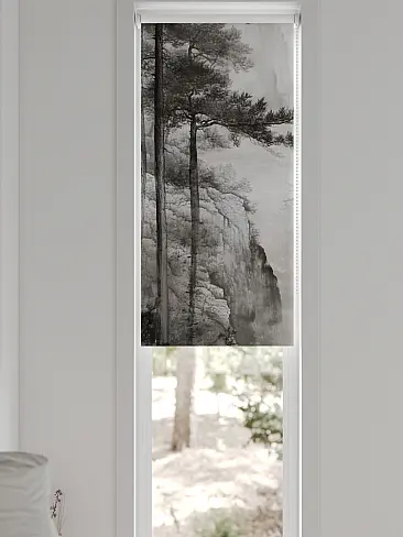 Рулонные шторы из тюля в Ижевске - Страница 601 17783639052 - 7