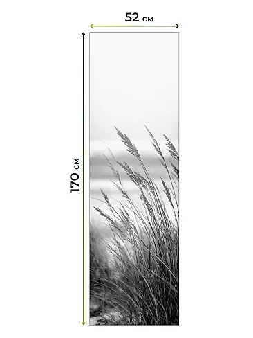 Рулонные шторы из тюля в Ижевске - Страница 601 17783641052 - 8