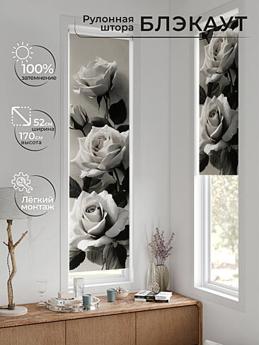 Рулонные шторы из тюля - Страница 602 17783644052