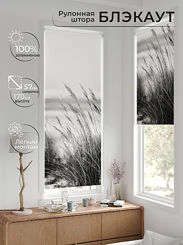 Рулонные шторы из тюля в Ижевске - Страница 601 17783641057 - 2