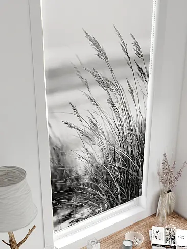 Рулонные шторы из тюля в Ижевске - Страница 601 17783641057 - 5