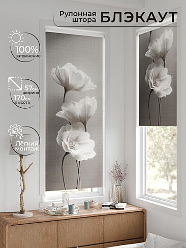 Рулонные шторы из тюля - Страница 600 17783636057