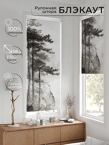 Однотонные римские шторы в Калининграде - Страница 1566 17783639068 - 2