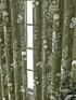 Комплект штор, арт. 9521518260 - 3