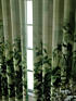 Комплект штор, арт. 9521734 - 3